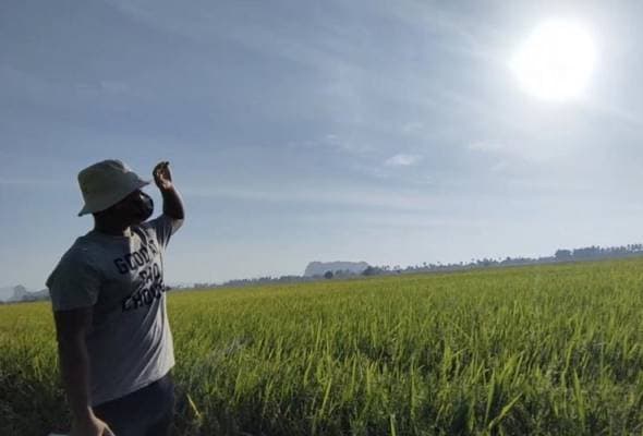Suhu Diramal Cecah 40 Darjah Celsius, Kerajaan Siap Siaga Hadapi Gelombang Cuaca Panas Melampau